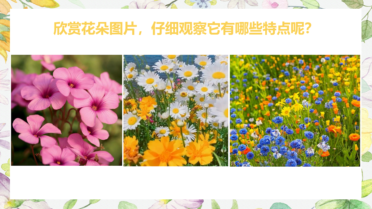 17283270第6页