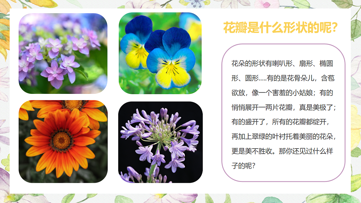17283270第7页