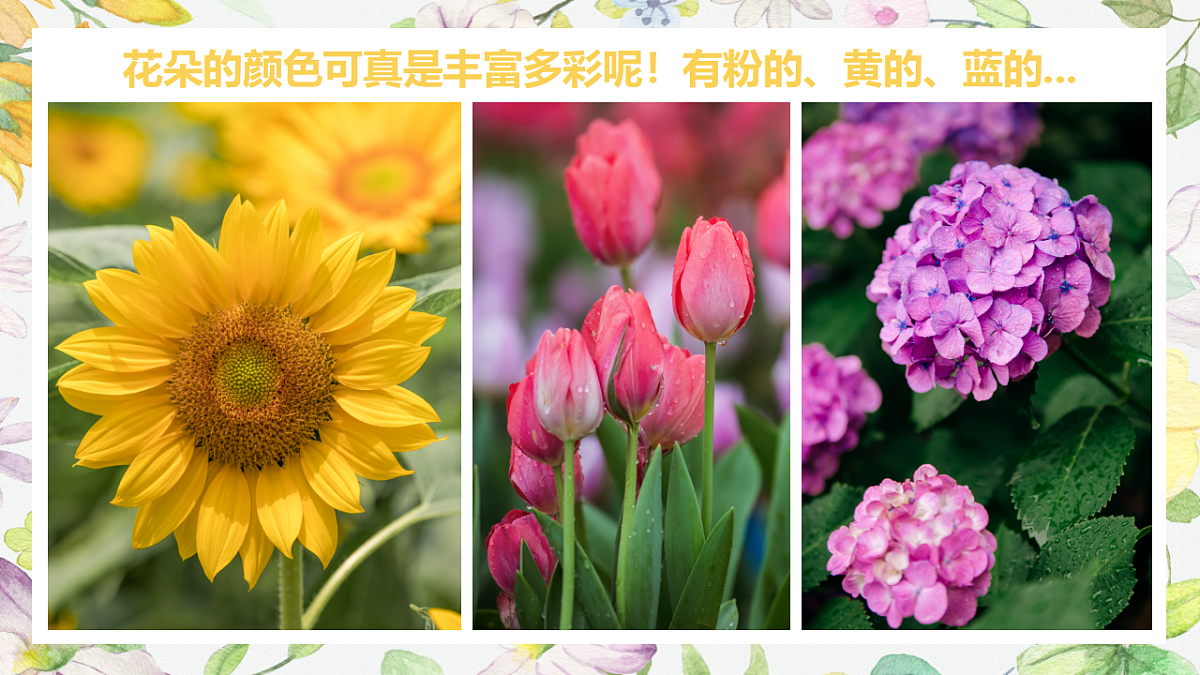 17283270第8页