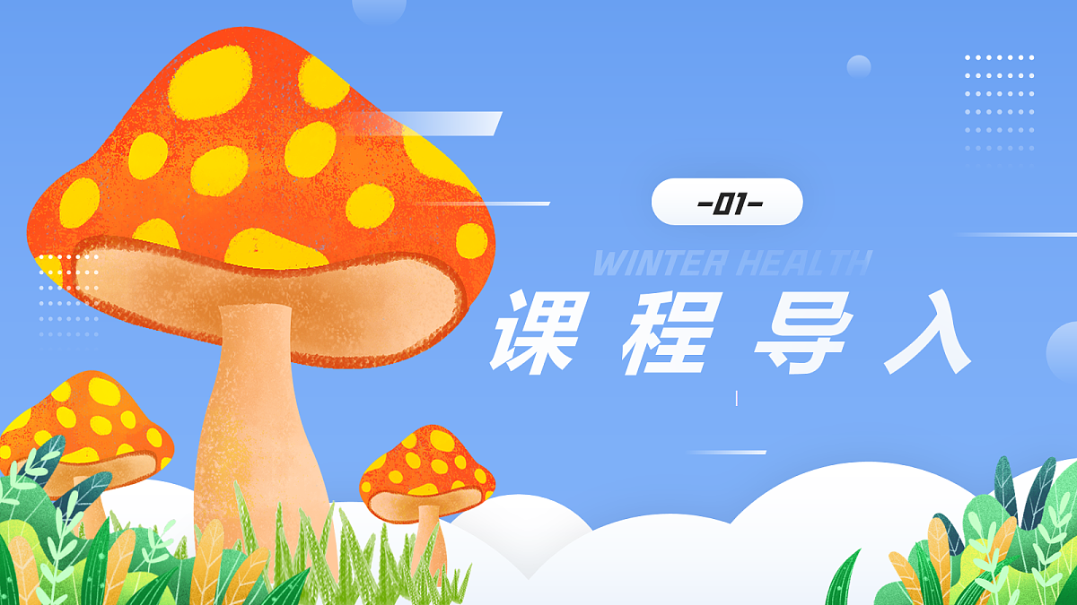 17283271第3页