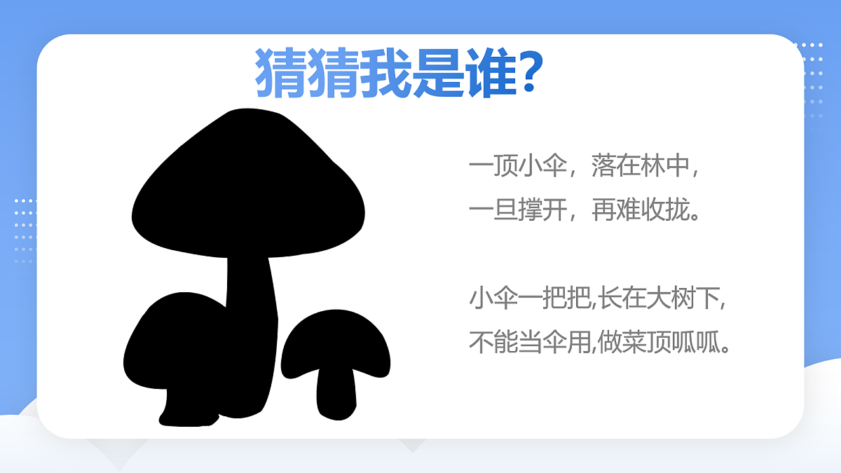 17283271第4页