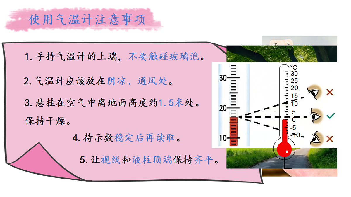 17283731第7页