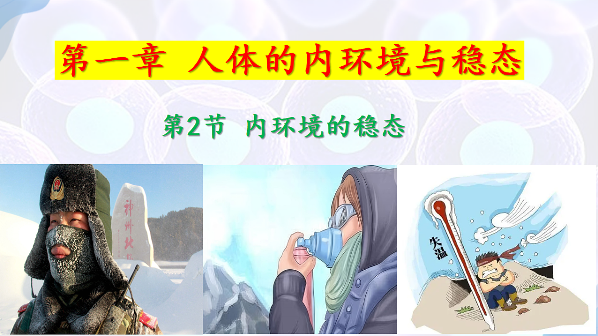 17283774第1页
