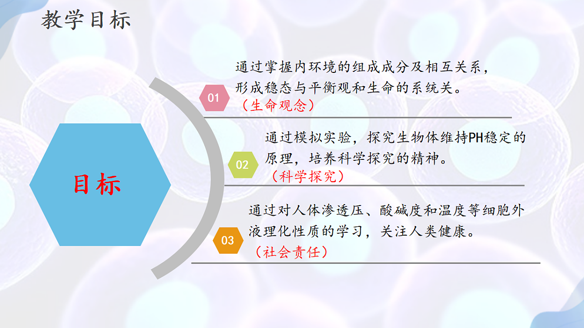17283774第2页