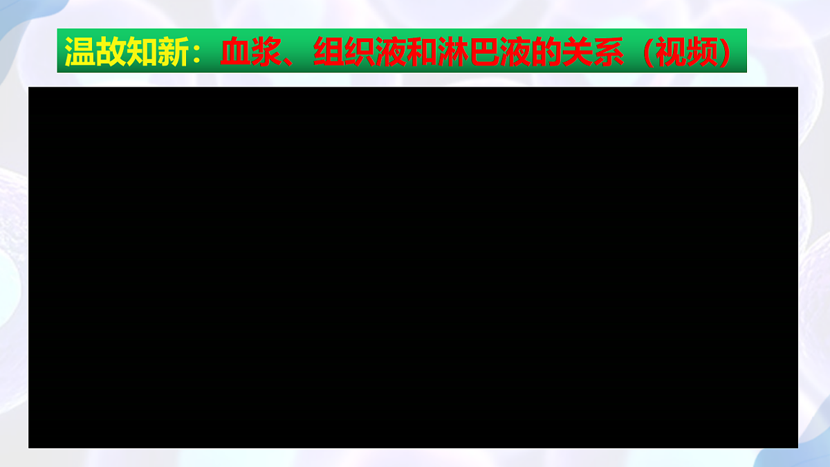 17283774第3页