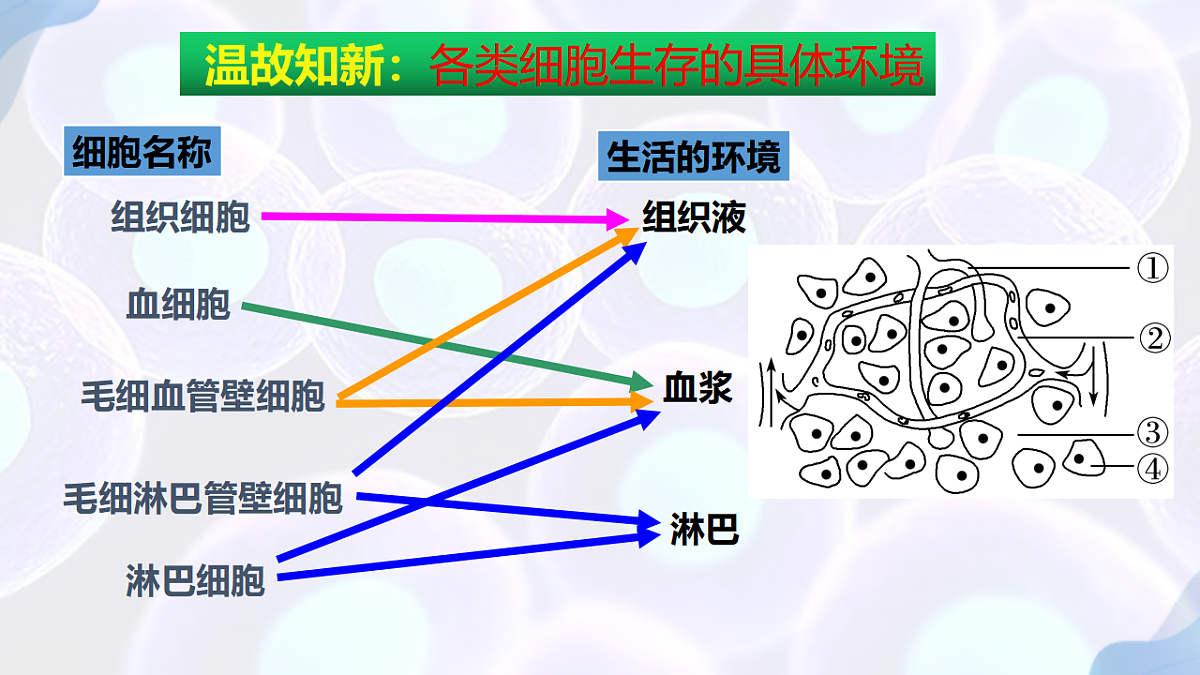 17283774第4页