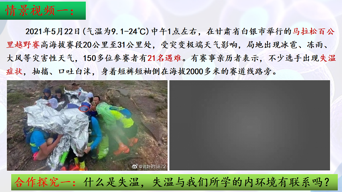 17283774第5页
