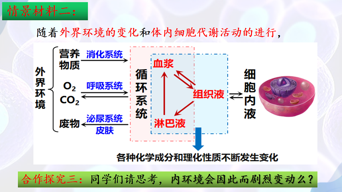 17283774第7页