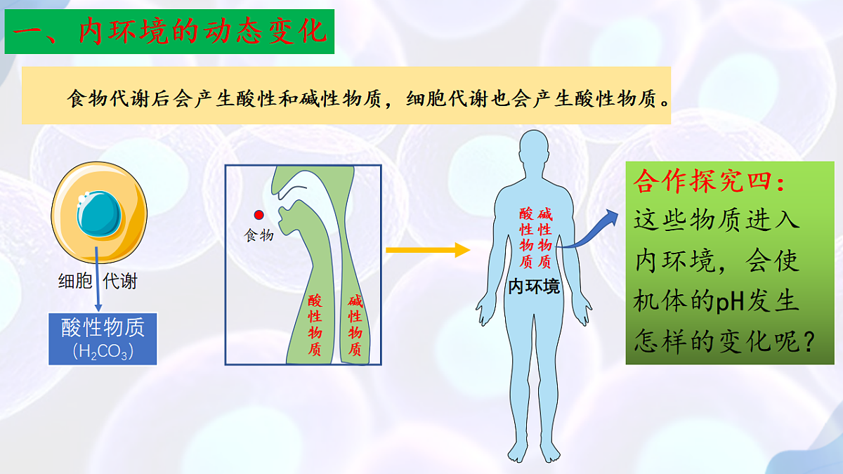 17283774第8页
