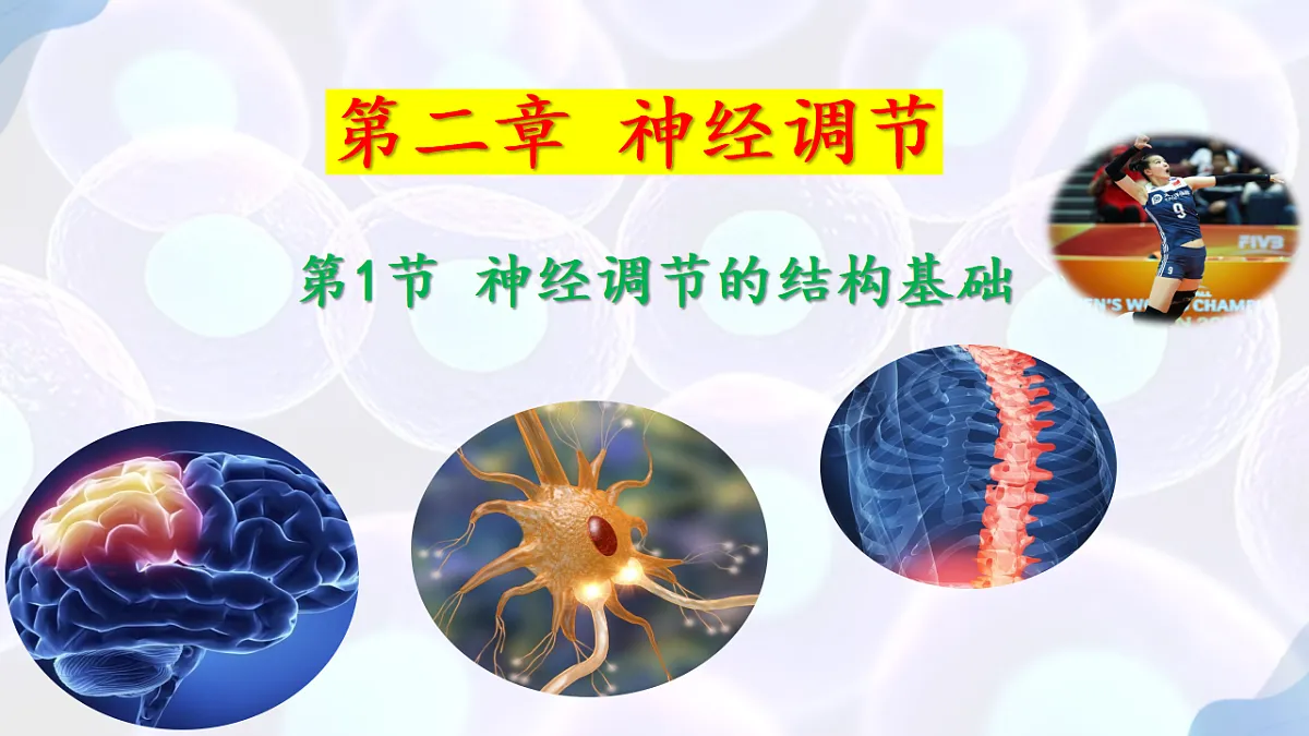 17283775第1页