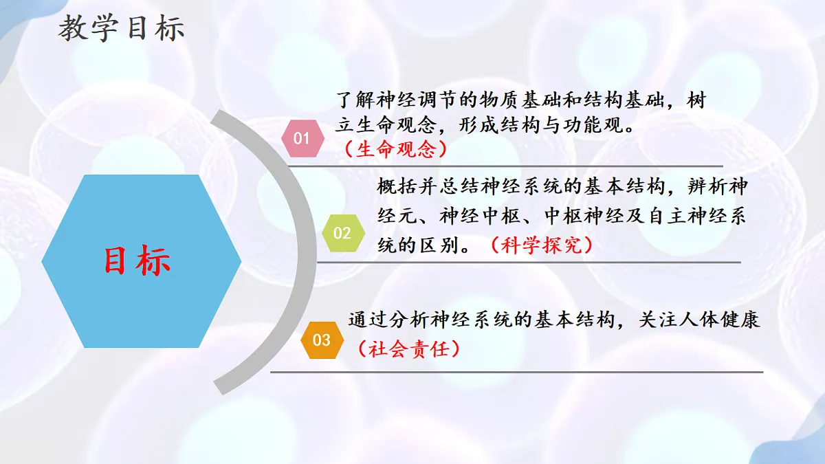 17283775第2页
