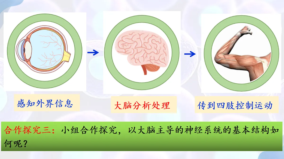17283775第6页
