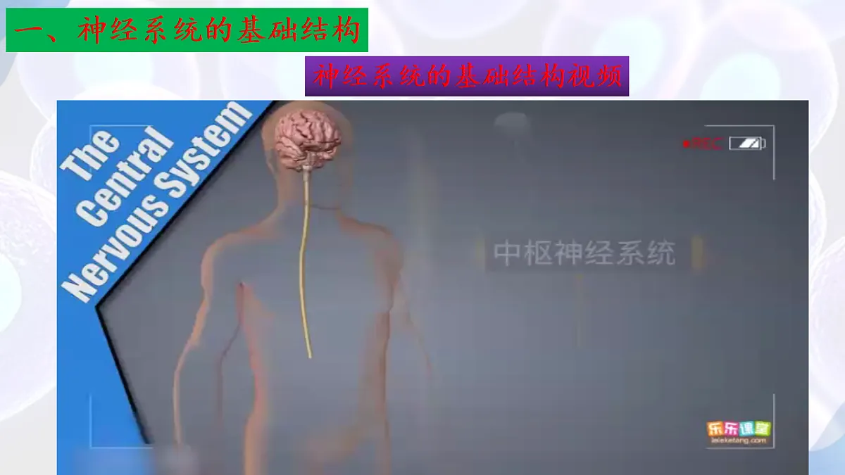 17283775第7页