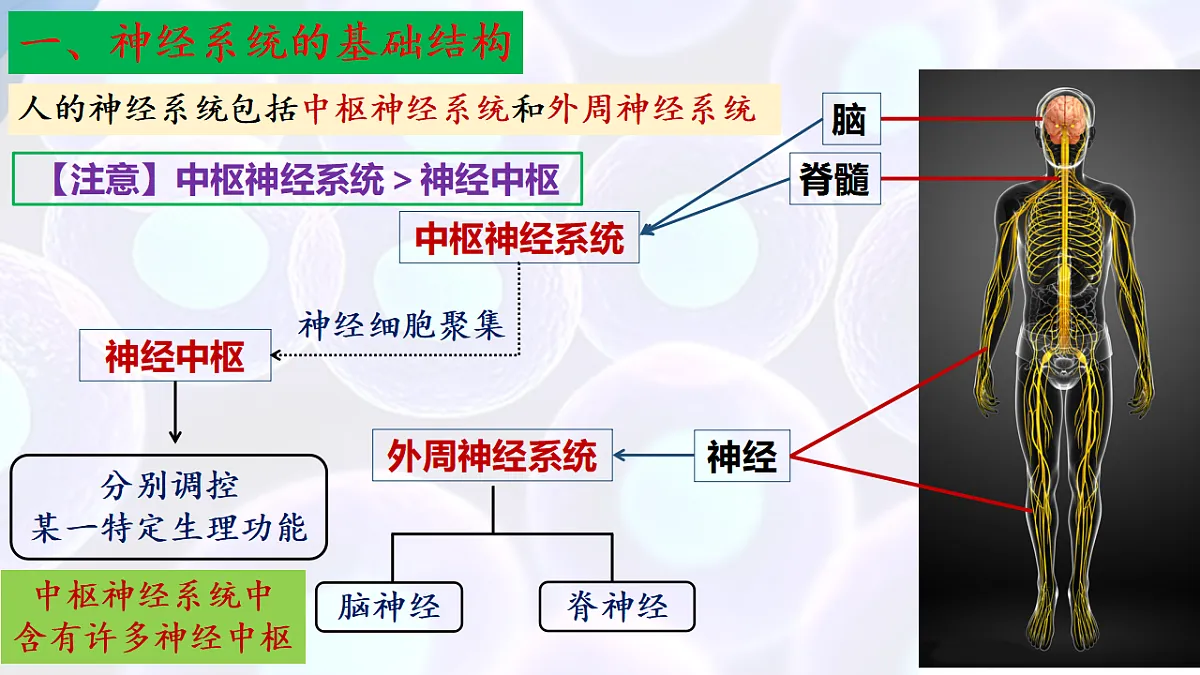 17283775第8页