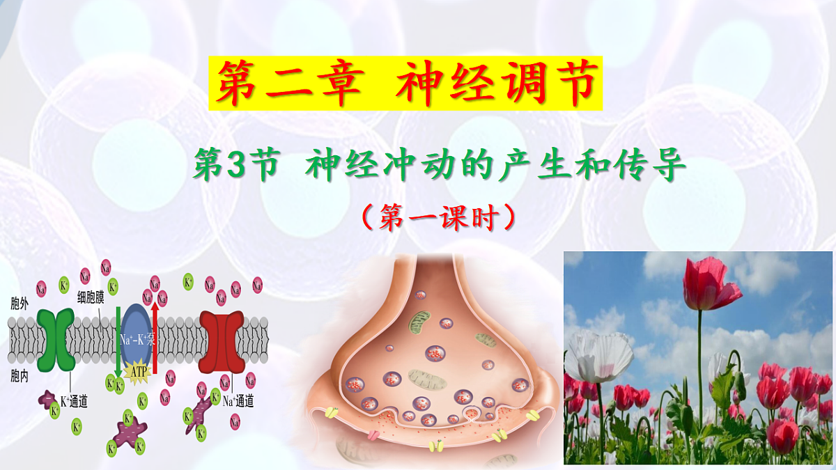 17283777第1页