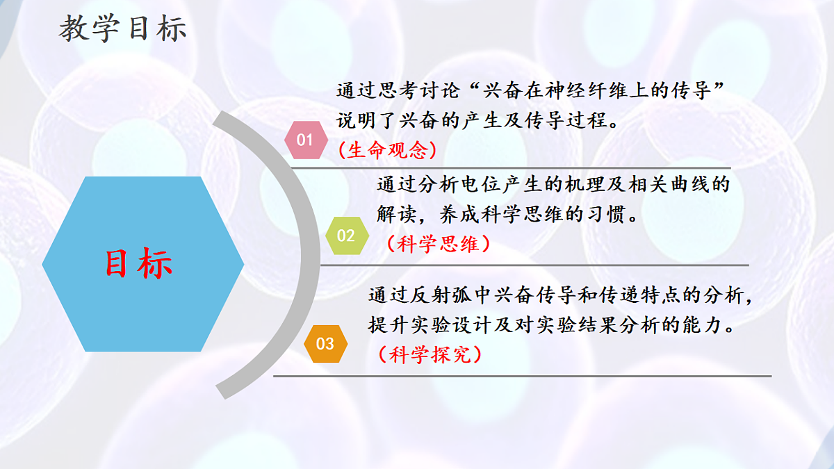 17283777第2页