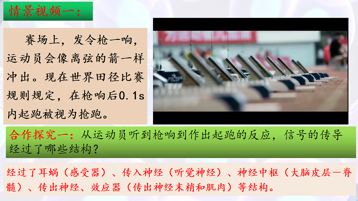 17283777第3页