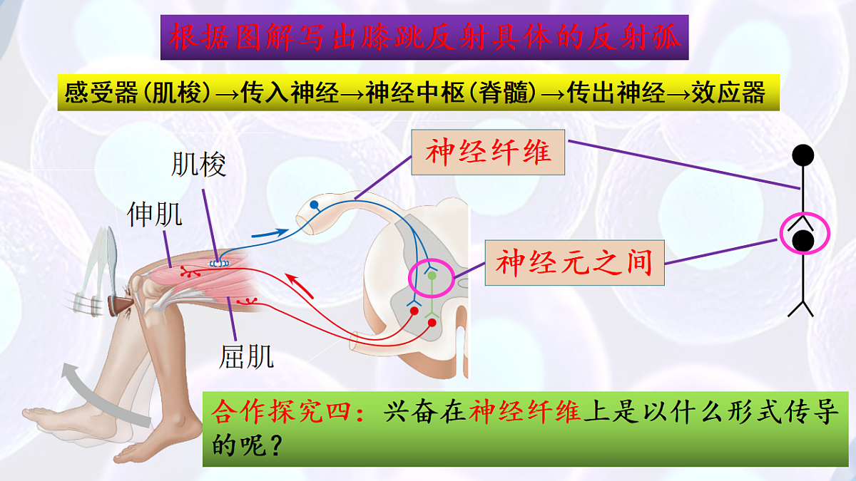 17283777第5页