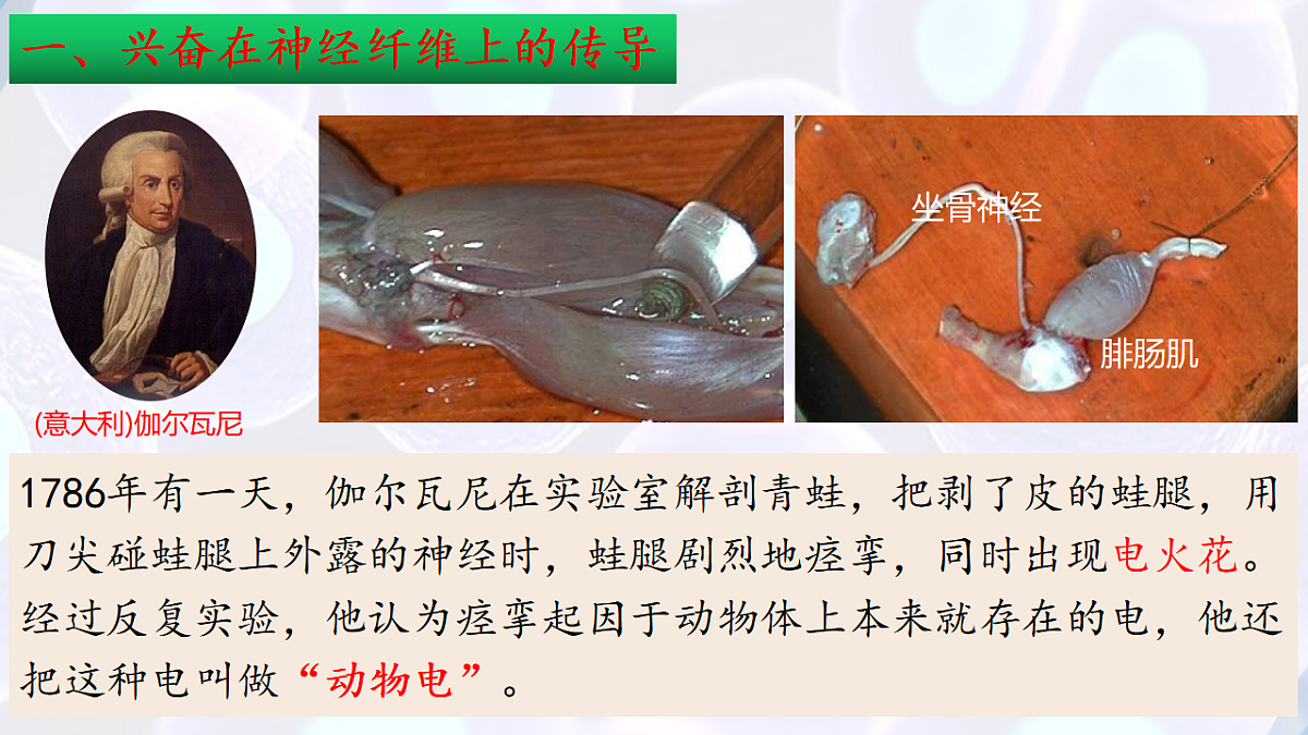 17283777第6页