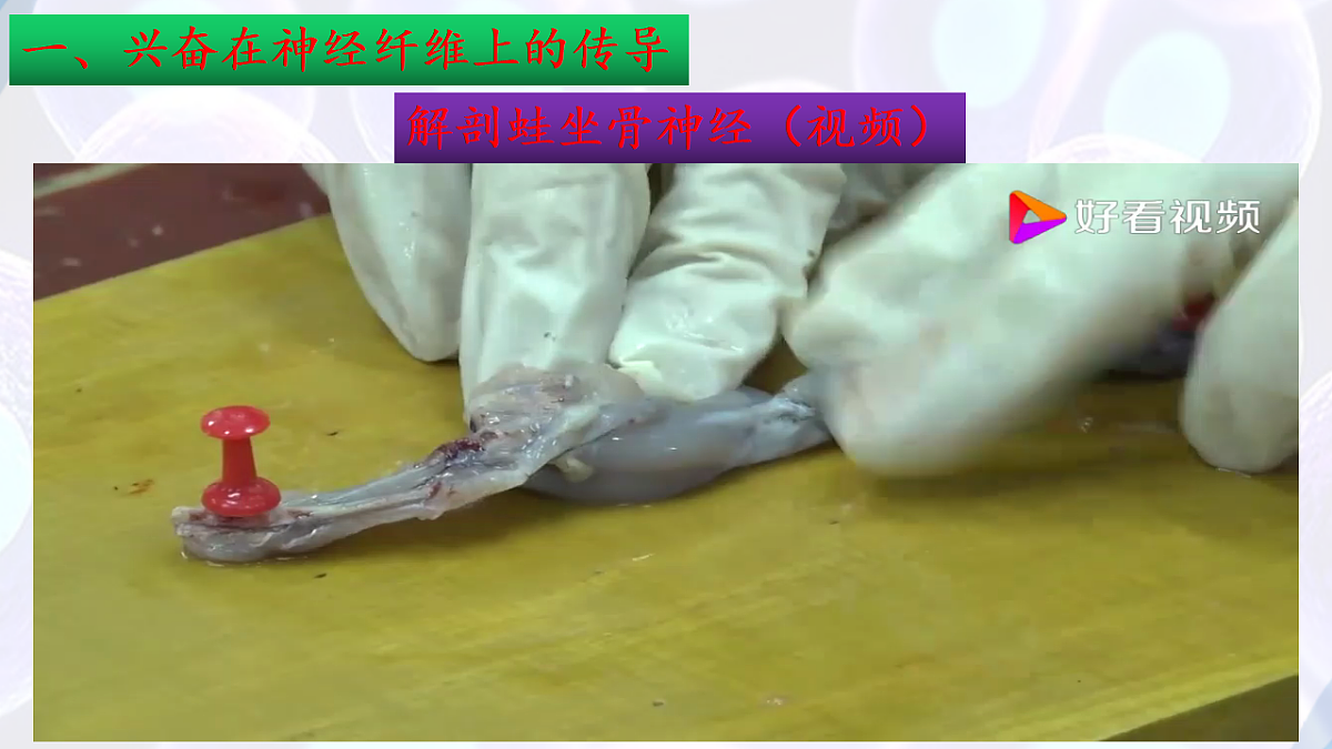 17283777第7页