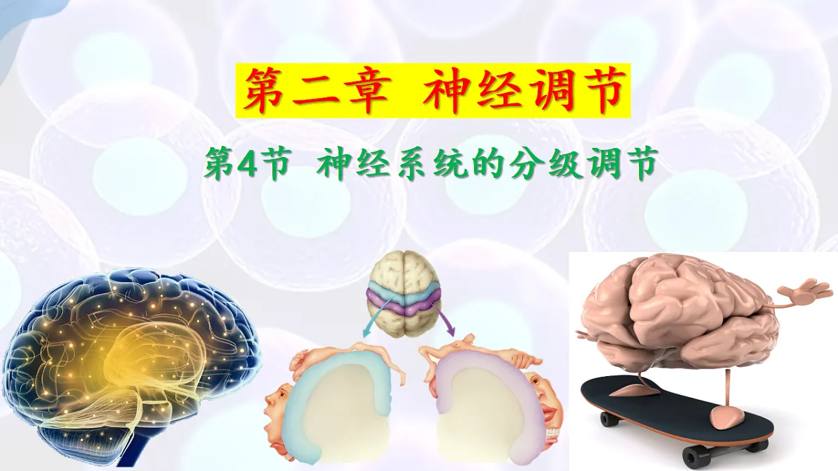 17283779第1页