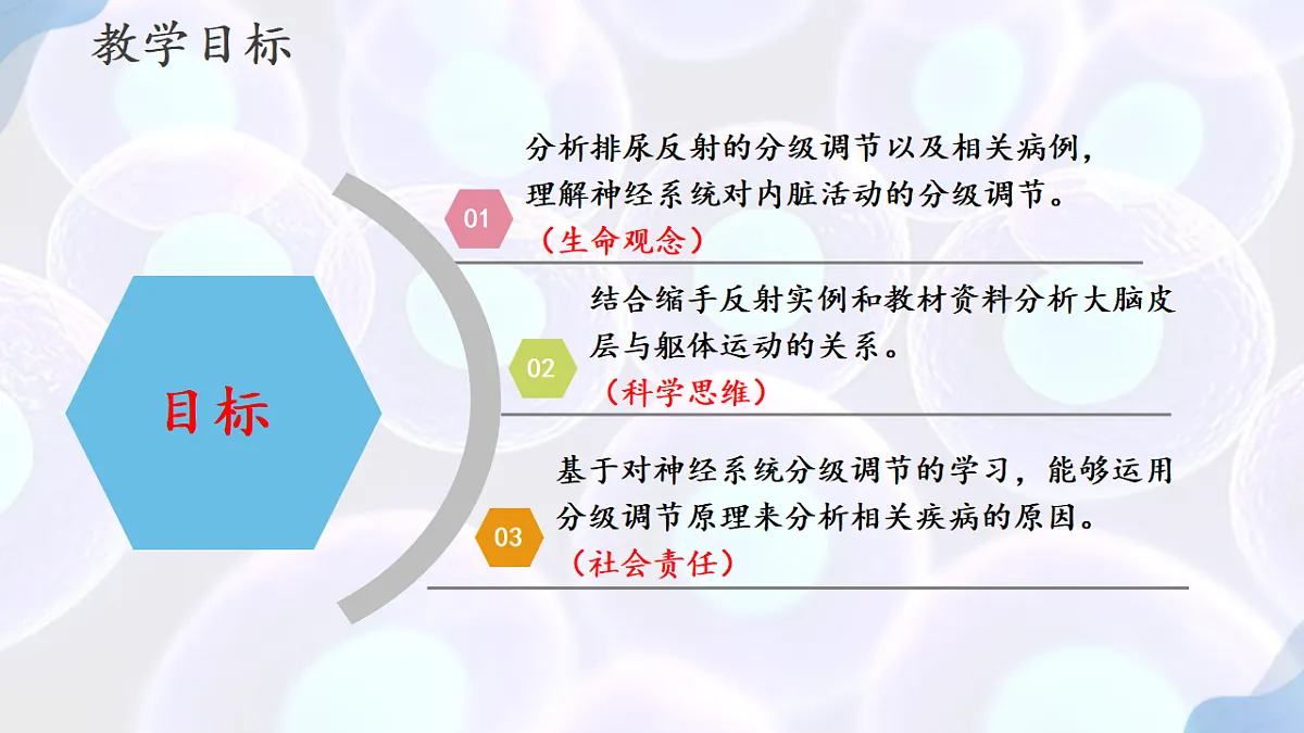 17283779第2页