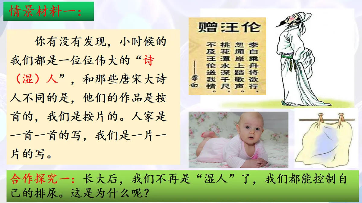 17283779第3页