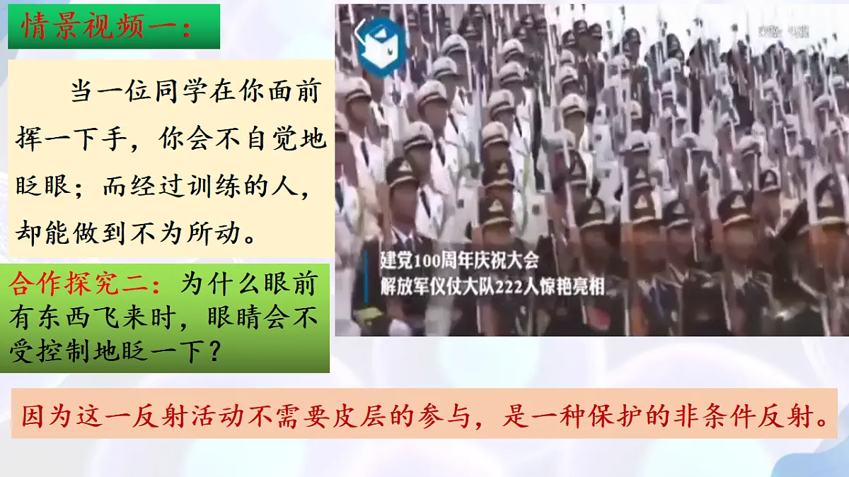 17283779第4页
