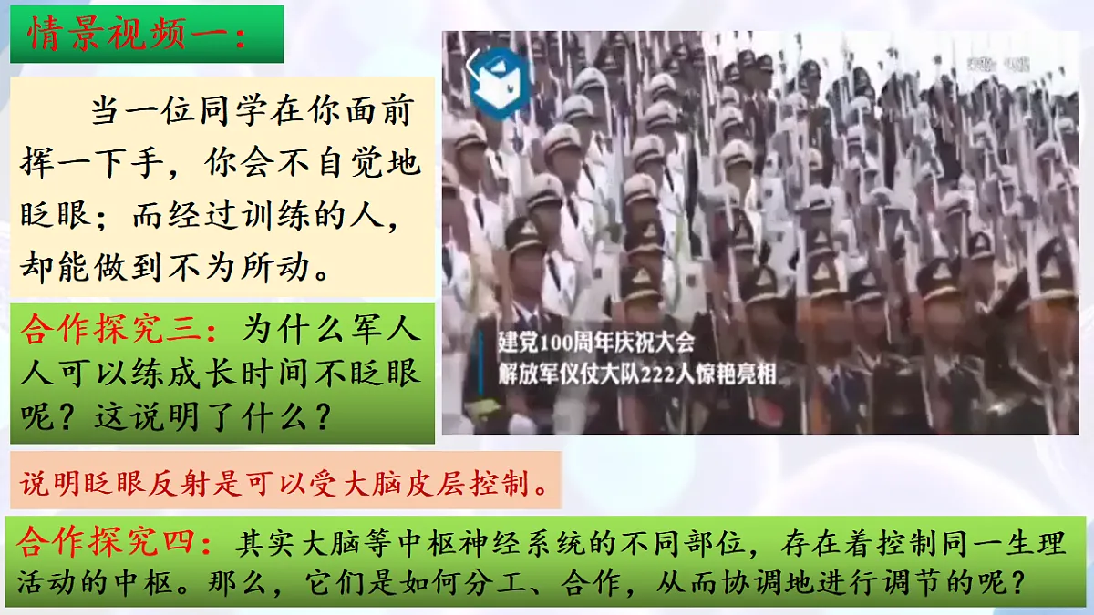 17283779第5页