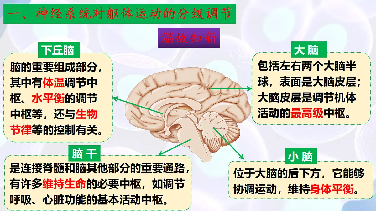 17283779第6页
