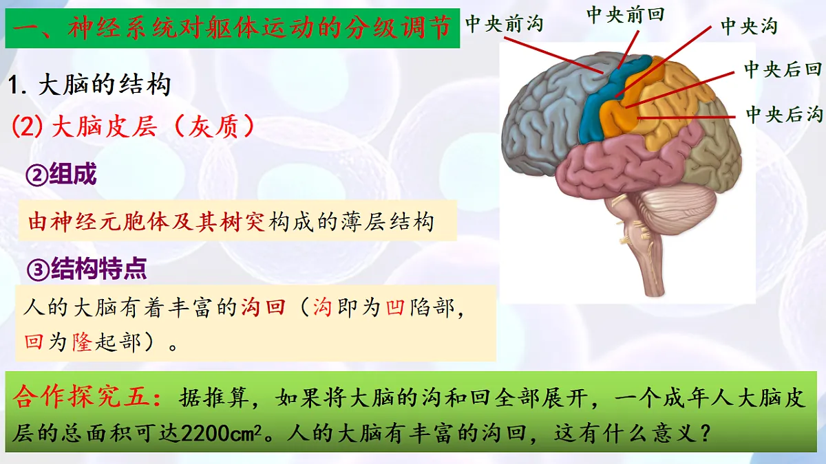 17283779第8页