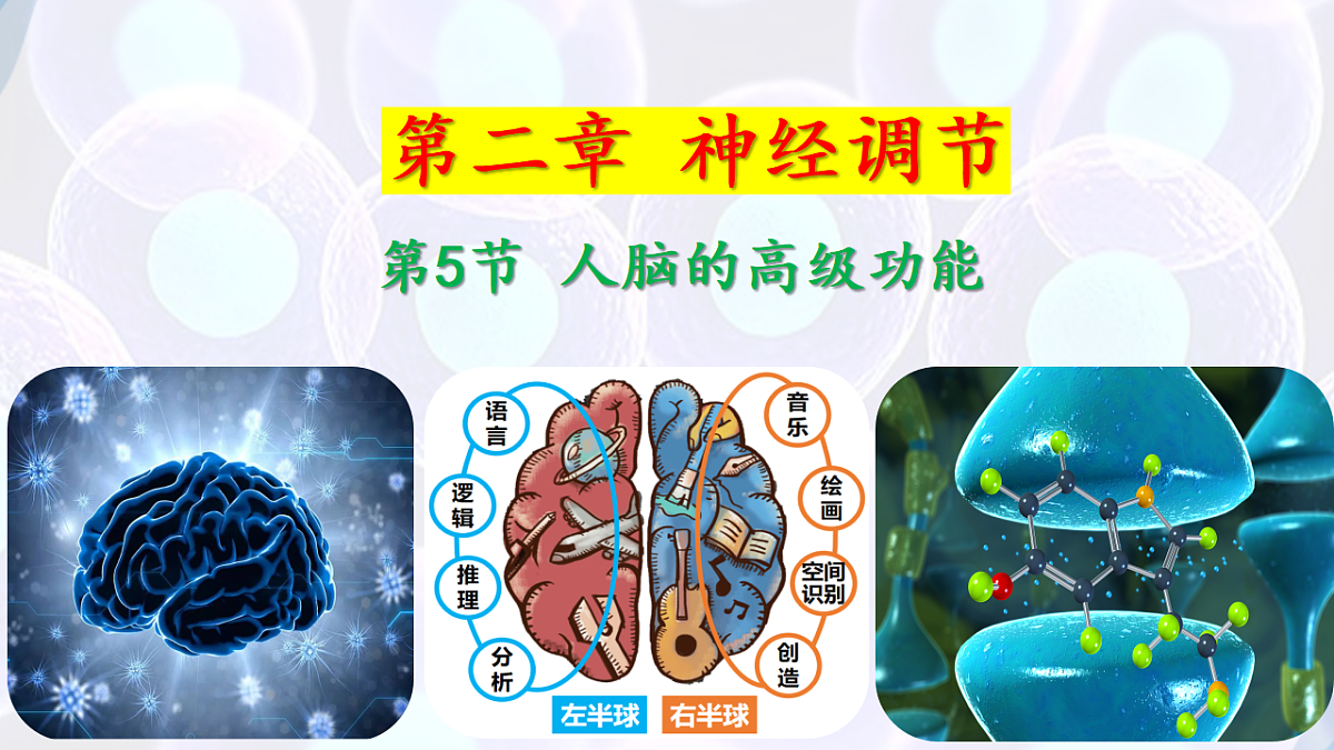17283780第1页