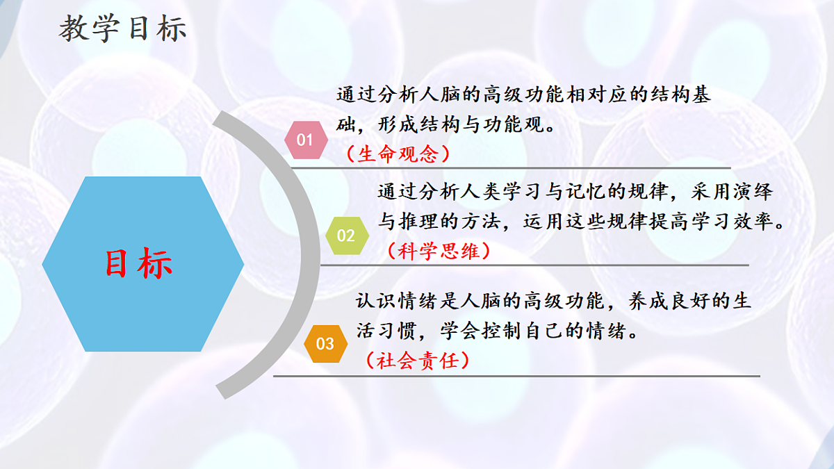 17283780第2页
