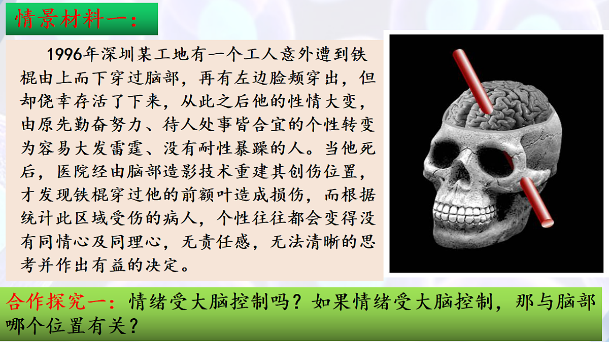 17283780第3页