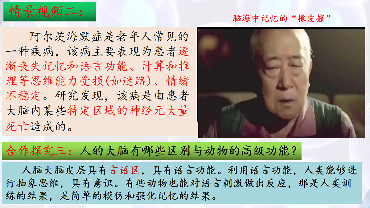 17283780第6页