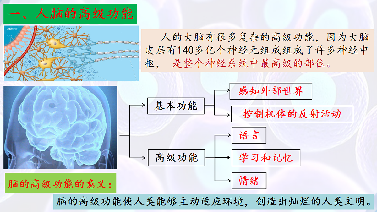 17283780第7页