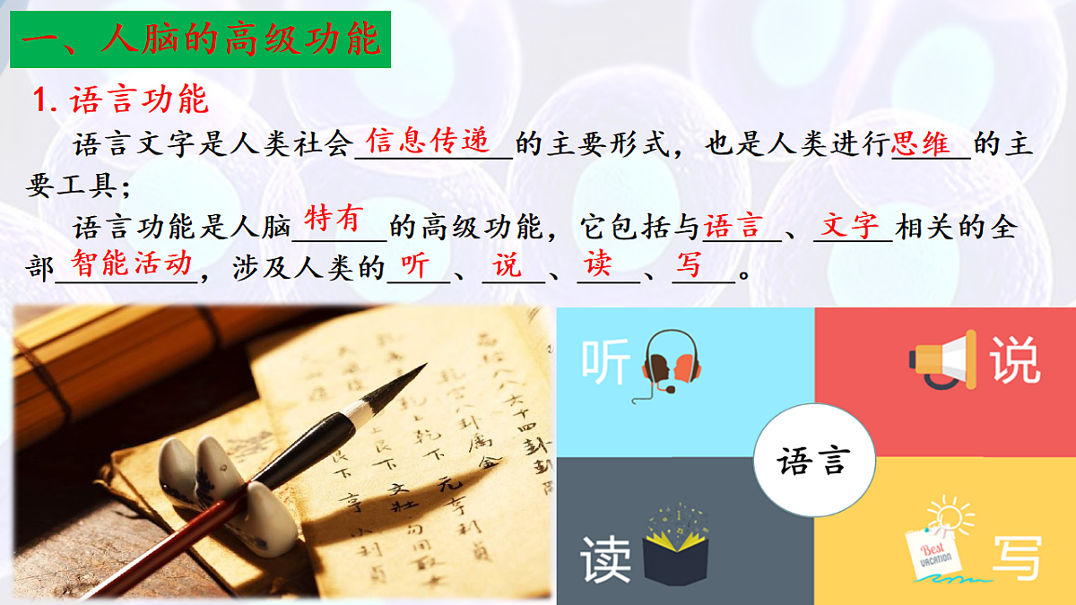 17283780第8页