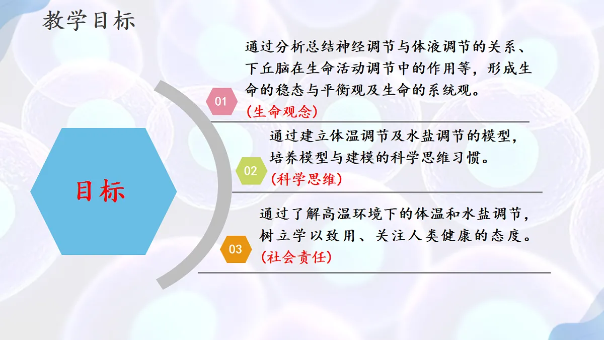 17283785第2页