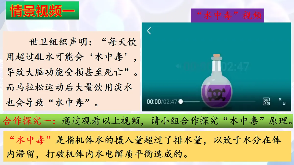 17283785第3页