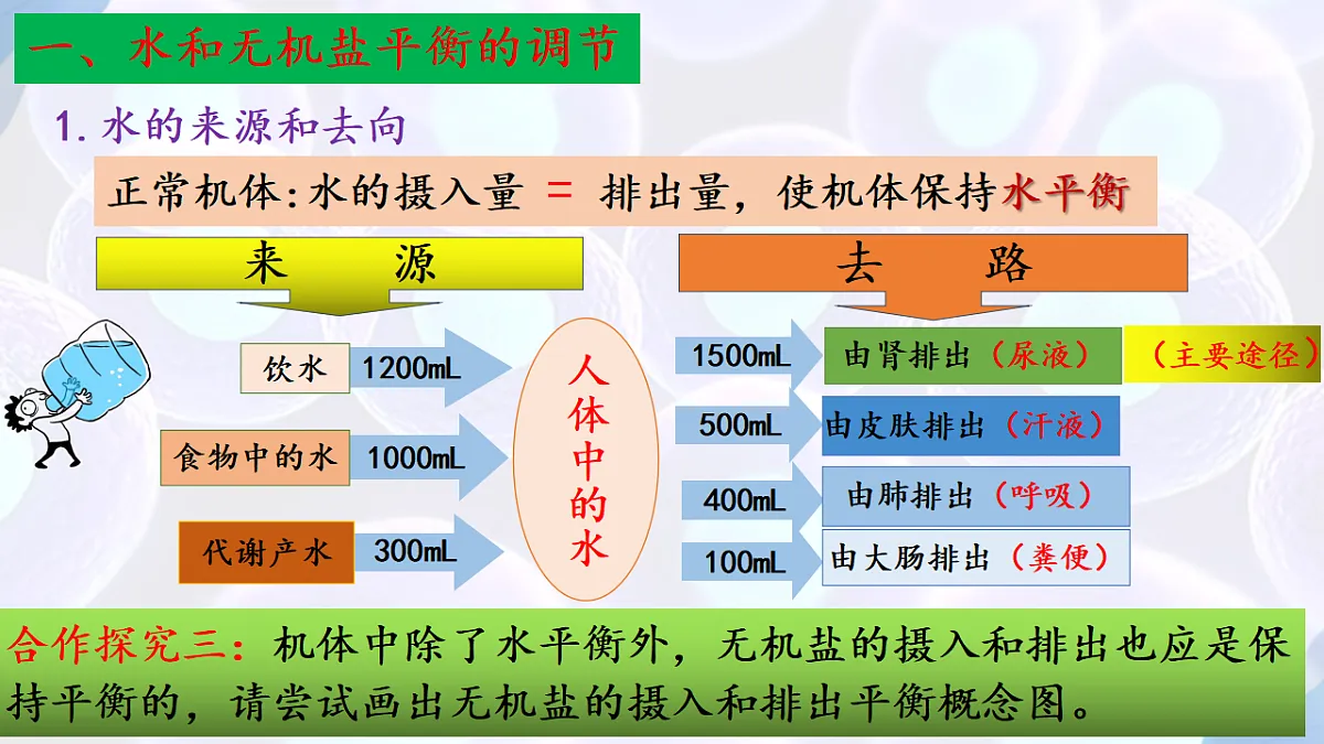 17283785第5页