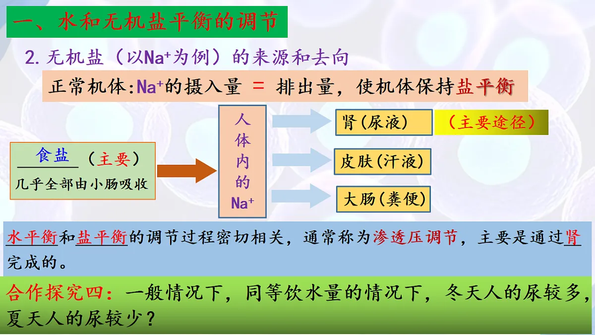 17283785第6页