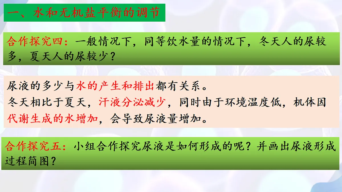 17283785第7页