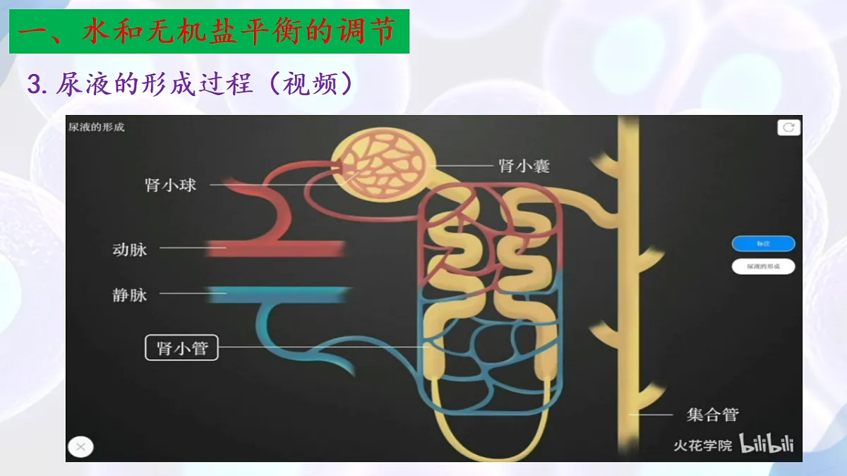 17283785第8页