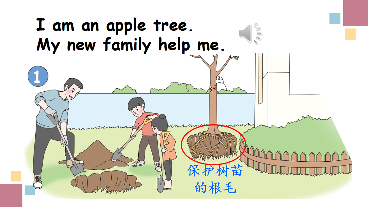 17283803第5页