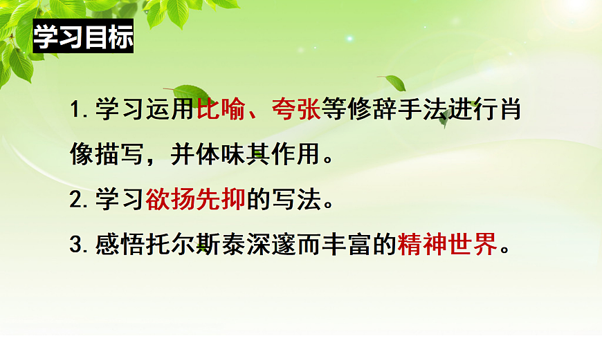 17284866第3页
