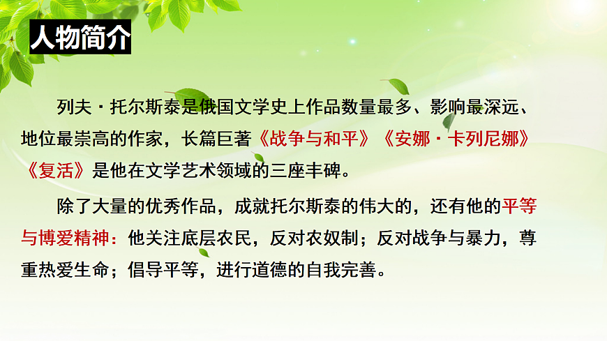 17284866第4页