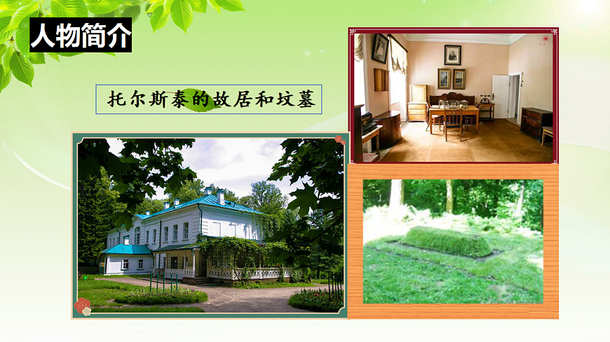 17284866第6页