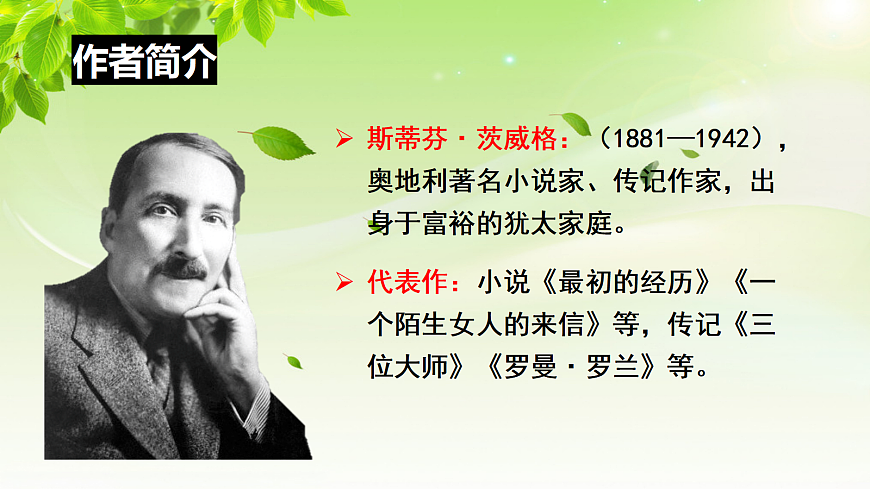 17284866第7页