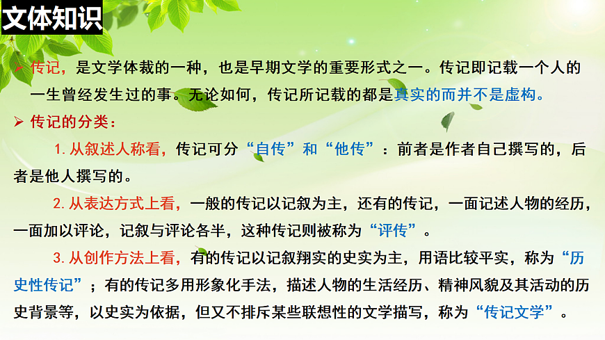 17284866第8页
