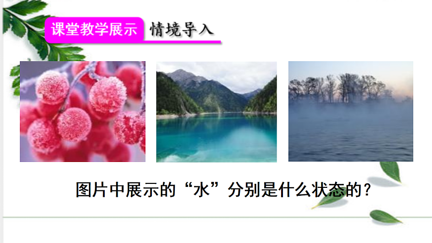 17285058第4页